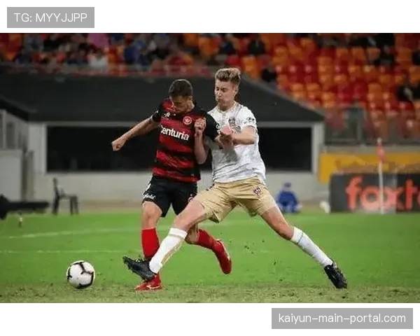 纽卡斯尔主力中卫舍尔韧带损伤 将缺席多场比赛